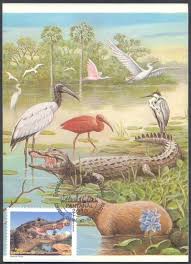 Resultado de imagem para dia nacional do selo postal brasileiro