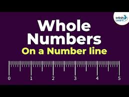 whole numbers on the number line