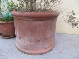 2 extra large terracotta pots for