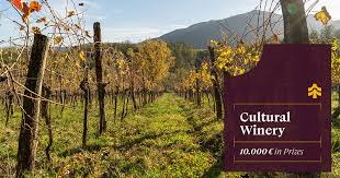 Cultural Winery, uno spazio di degustazione tra le colline toscane ...