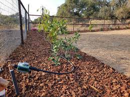 how to connect drip irrigation to a