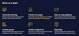 codecademy review 7 pros cons to