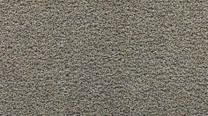 calming path fossil gray frieze carpet