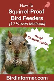 how to squirrel proof bird feeder 10