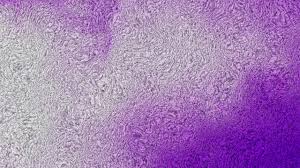 purple and grey woolen carpet texture