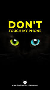 black cat with green eyes wallpapers on