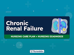 11 chronic renal failure nursing care