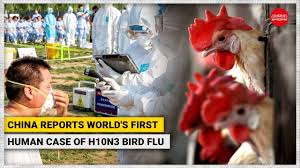 A man in china caught the first case of h10n3 bird flu ever reported in a human, china's national health commission (nhc) announced tuesday the h10n3 strain of avian influenza normally causes mild disease in birds, and until now, no cases of the viral infection had been reported in humans. 3u6pglauteotam