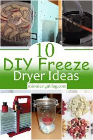 10 diy freeze dryer ideas mint design
