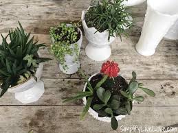 upcycled succulent garden gift idea