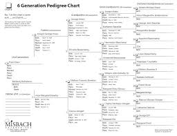 Free Genealogy Charts Co Individual Research Checklist