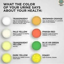 urine color and your health status