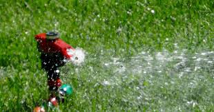 Many homeowners aren't exactly sure how much water is necessary to keep plants thriving during the. How Often Should You Water Your Lawn Lawn Chick