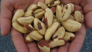 Though many consumers lump all nuts into while chestnuts are tree nuts, this commodity is covered in a separate know your commodity profile. Brazil Nut Shortage After Drought Triggers Big Price Jump Financial Times