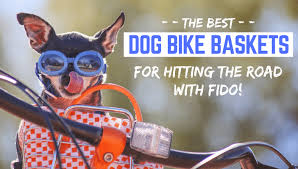 Dog bike basket folding pet cat carrier front removable bicycle handlebar bag uk. 7 Best Dog Bike Baskets 2021 Reviews Safe Bicycle Riding With Dogs