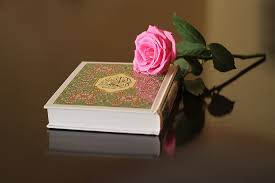 Image result for The Holy Quran