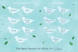 It refers to chinese characters incorporated into the korean language. Names For Pet Birds