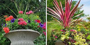 Herb And Flower Container Combinations