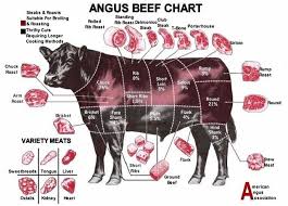 Fergusons Beef Cut Chart