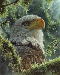 Eagle Wall Art Bald Eagle Decor Eagle