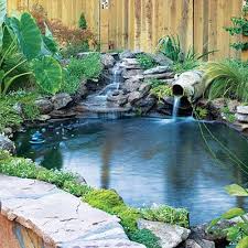 Fish Pond Gardens Waterfalls Backyard