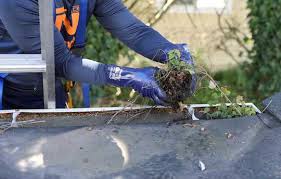 Professional Gutter Cleaning Services