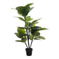 4.8 out of 5 stars with 5 ratings. Faux Large Leaf Rubber Plant World Market