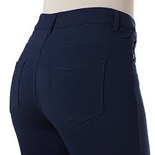 Diane Gilman Dg2 Plus Size Stretch Pants Slacks Jeans In