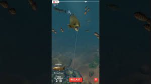 The game caught fish and marine species by touching pictures of passing from the right side to the left side. 10 Best Fishing Games For Android Android Authority