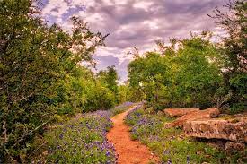 texas hill country in dripping springs