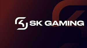 Sk Gaming Wallpaper posted by ...
