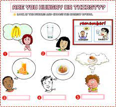 are you hungry or thirsty worksheet