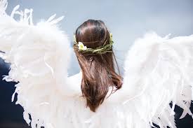 Download transparent angel wings png for free on pngkey.com. Angel Wing Pictures Download Free Images On Unsplash