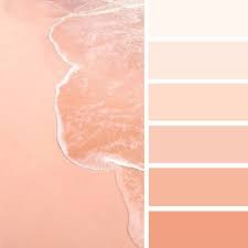 The word peach comes from the middle english peche, from middle french, in turn from latin persica. Peach Color Palette Orange Farbpaletten Farben Und Tapeten Farbinspiration