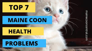top 7 maine health problems you