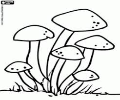 My dear sir, said the father, with at them, with a most curious air; Coloring Pages Coloring Fungi