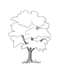 Copy the code we give you below and paste it on your web to publish it. Oak Tree Coloring Page Coloring Home