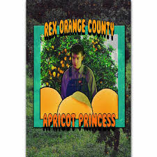 Over the years, he managed to learn several musical instruments including piano, guitar, drums, and percussion. H675 New Rex Orange County Pop Music Singer Custom Music Album Poster Silk Art Ebay