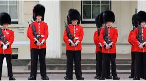 • welsh guards • scots guards • irish guards • cold stream guards • grenadier guards. Very Few Know The History Of The Queens Guard Goes Back To 15th Century