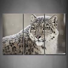 Leopard Painting Wall Art Painting