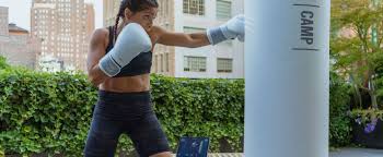 30 minute beginner boxing workout w