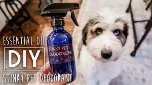 diy stinky pet deodorizer spray you