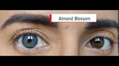 Image result for almond blossom eyes