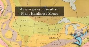 canadian plant hardiness zones