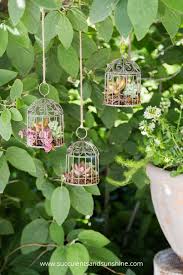 Miniature Succulent Bird Cages