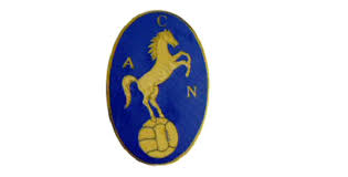 375 badge napoli calcio 93 merlin stickers. Perche Il Ciuccio E Il Simbolo Del Napoli