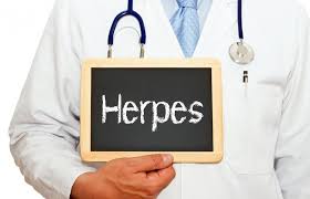herpes simplex virus hsv