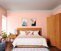 Pink Crush 8033 House Wall Painting