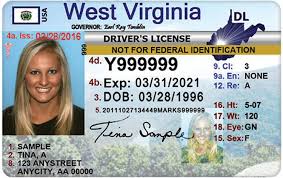 Social security number, if issued What A Driver S License Looks Like In Every State