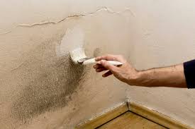 solved can you paint over mold the